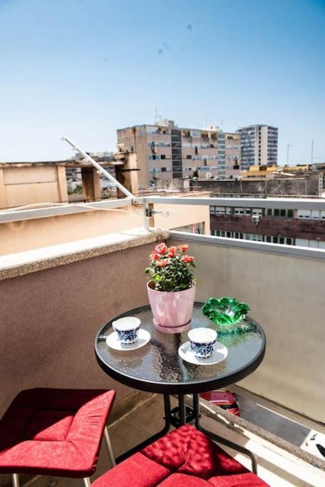 Pearl Of Sibenik Apartment Bagian luar foto